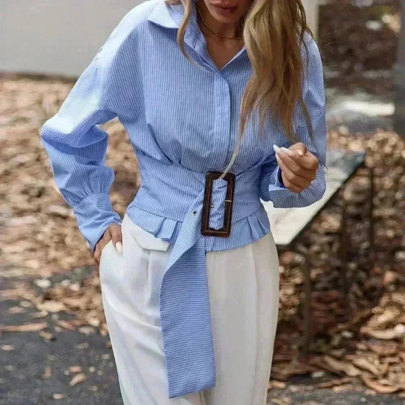 Multicolor Elegant Women's Pleated Waist Slimming Puff Sleeve Striped Blouse - Picture 3 of 6